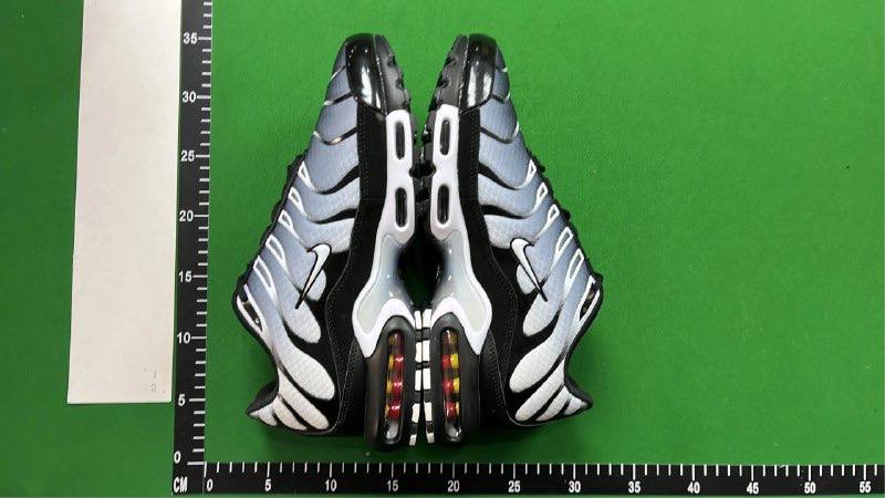 TN Batch  Nike Air Max  plus -2