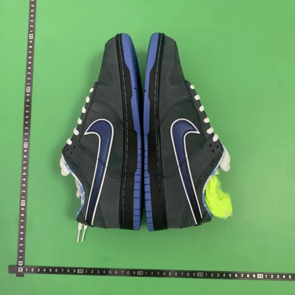 BF Batch  Nike Dunk Low Pro OG  -2